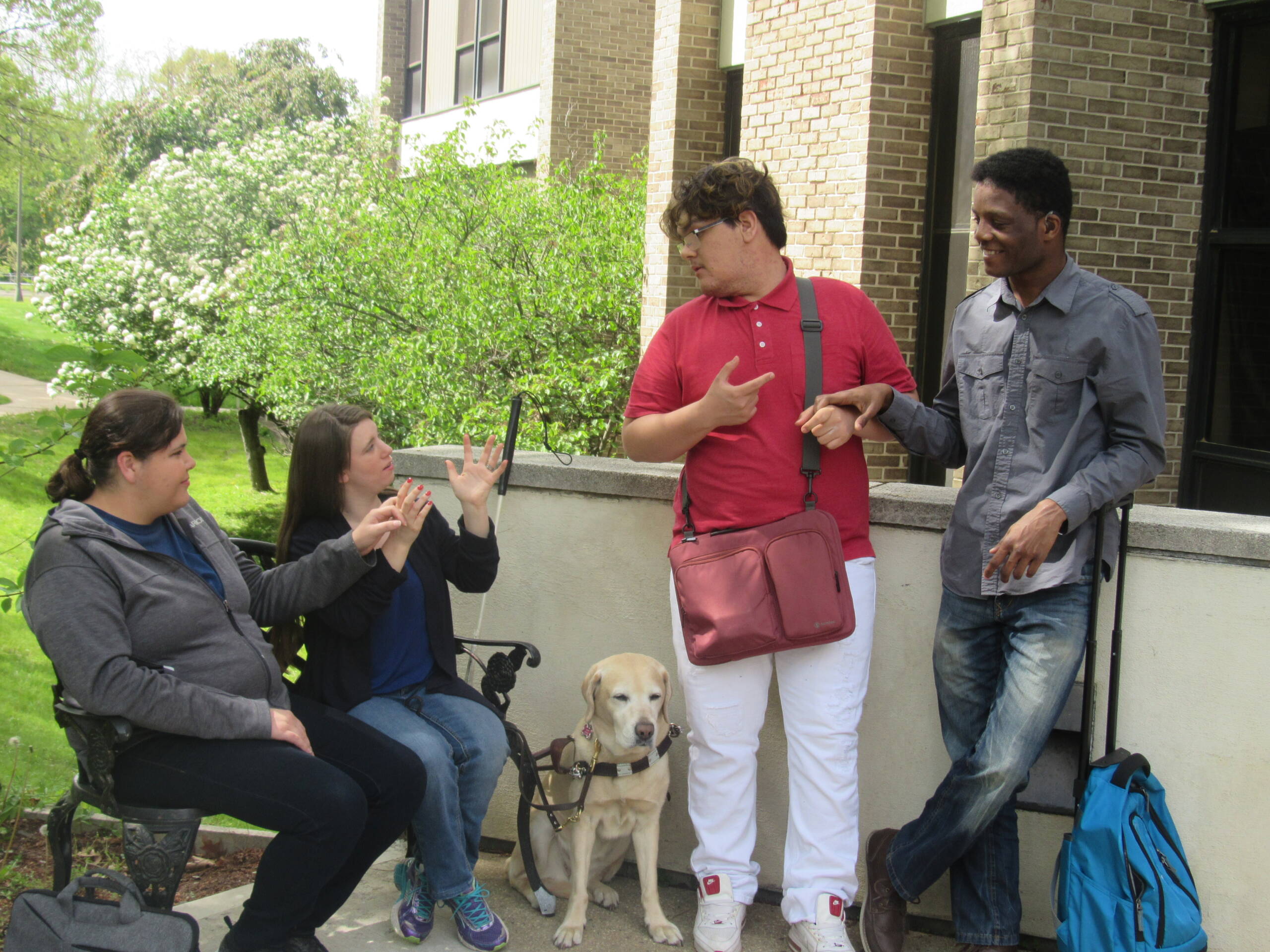 A group of four people and a service dog standing and signing to each other.