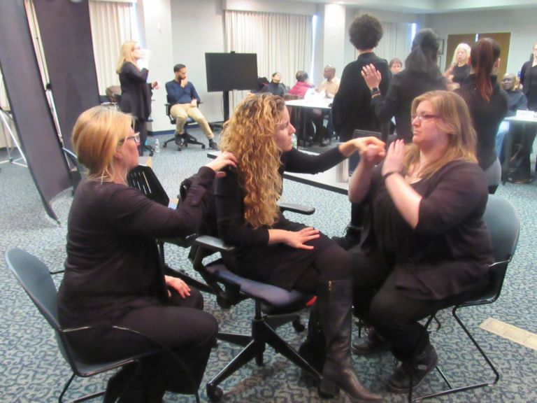 Guidelines for Working with a Sign Language Interpreter Specific Considerations for Ensuring