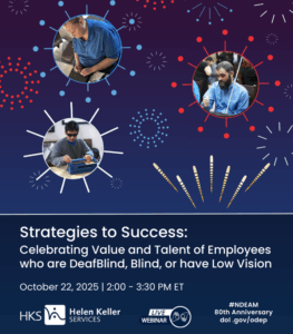NDEAM webinar event graphic
